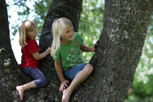 deux-enfants-arbre-300×200